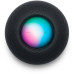 Умная колонка Apple HomePod Mini Серый космос — фото 2