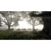 Игра для Xbox Red Dead Redemption 2 — фото 2